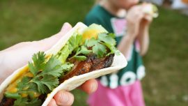 Karibiska tacos med grillad fläsksida och mangosalsa