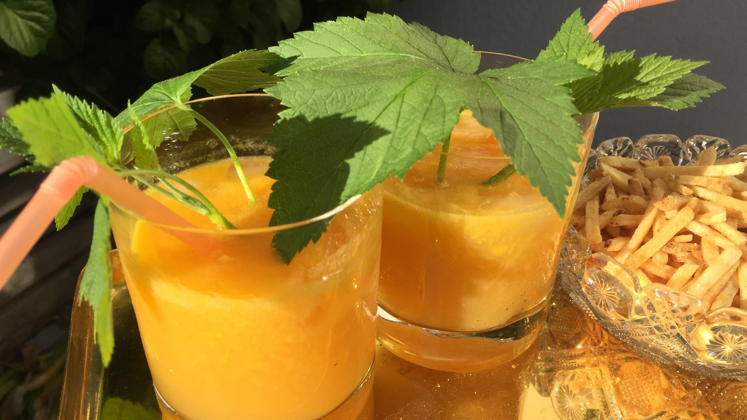 Hanabi 花火, en solhet drink med mango och habanero