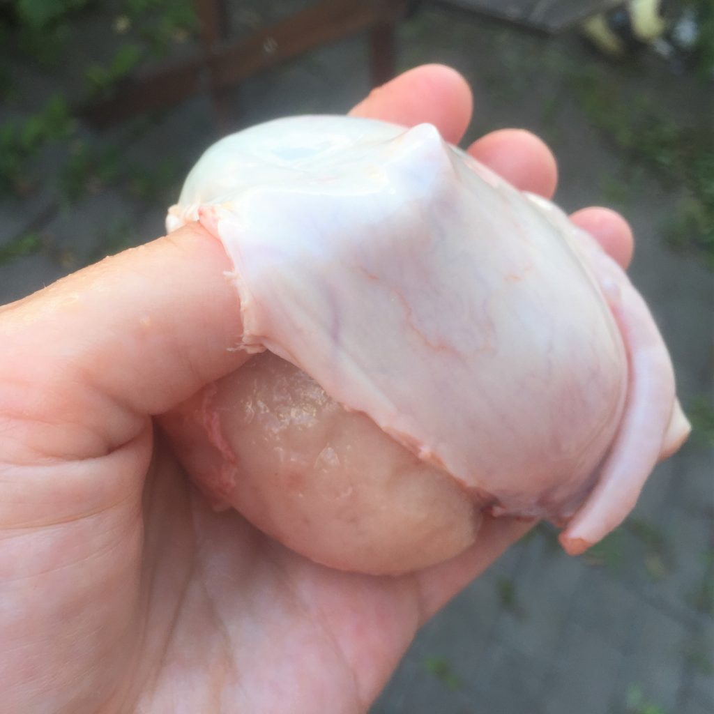 kula på pungen