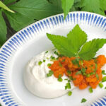 En enkel bild av en trevlig presenterad burrata som förrätt