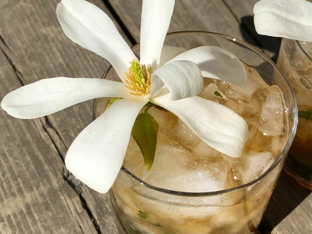 Magnolia julep